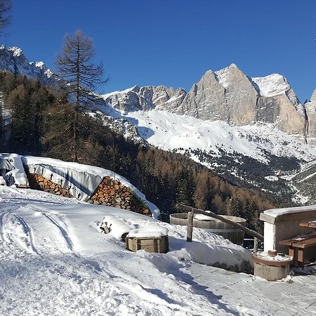 Rifugio Negritella Hotel Поца ди Фаса Екстериор снимка